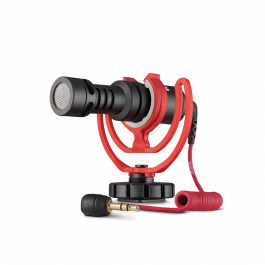 VideoMicro